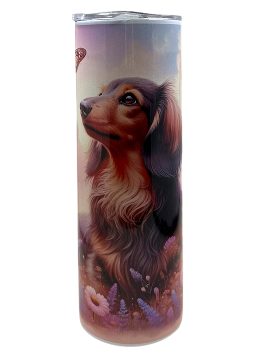 Dachshund